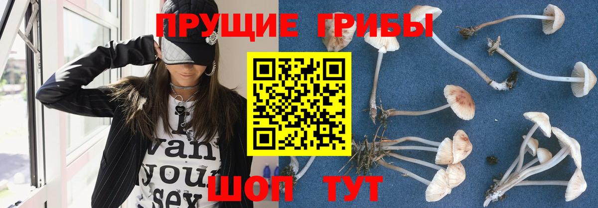 Галлюциногенные грибы мухоморы Сальск